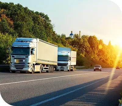 Transport Software Solutions for Logistics Movement Across Continents