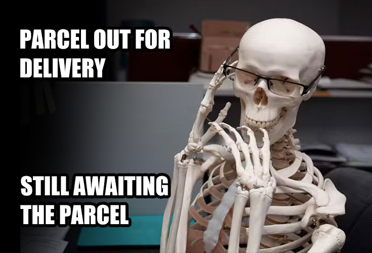 Waiting Parcel Delivery meme