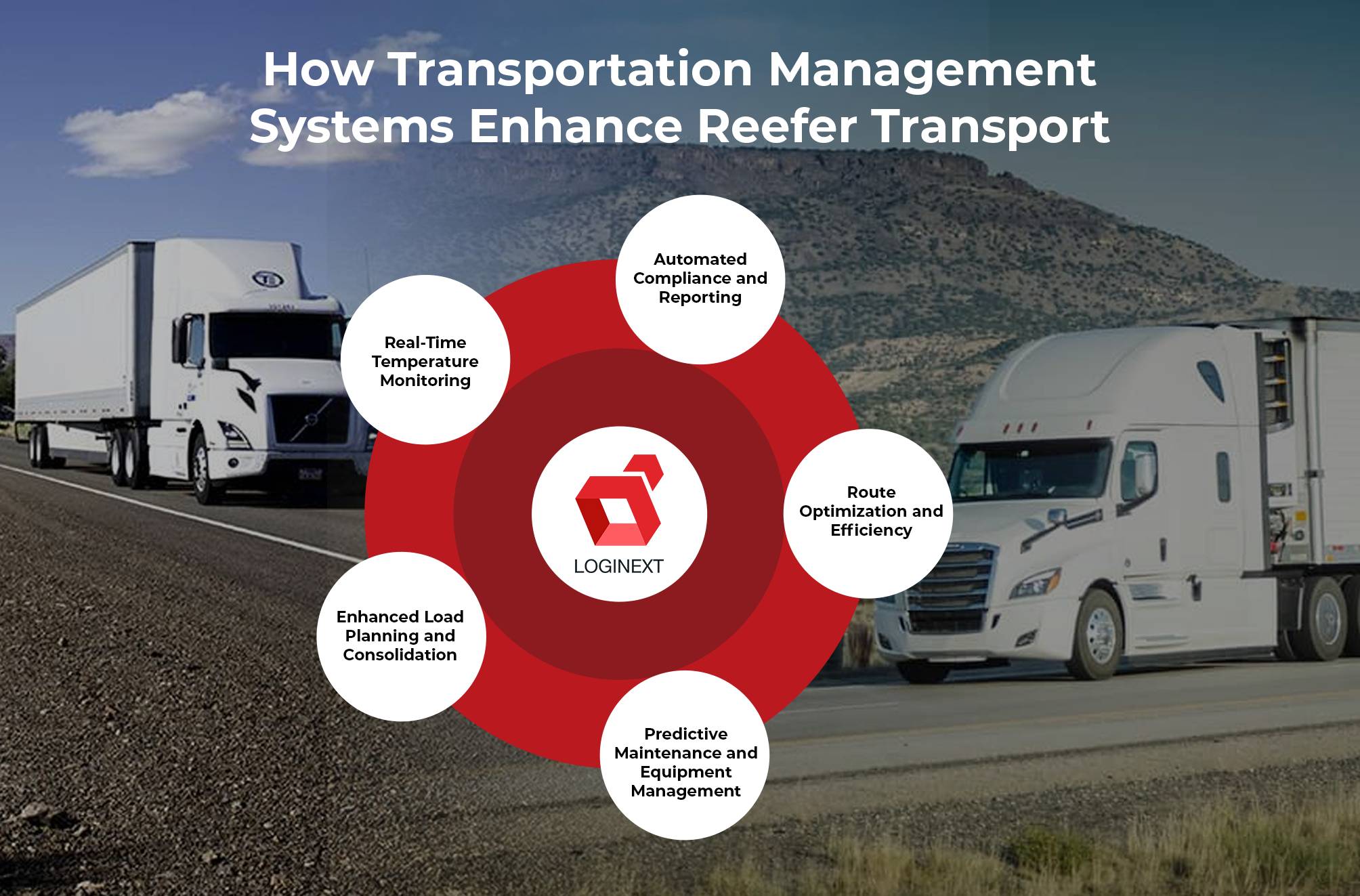 How Transportation Management Systems Enhance Reefer Transport