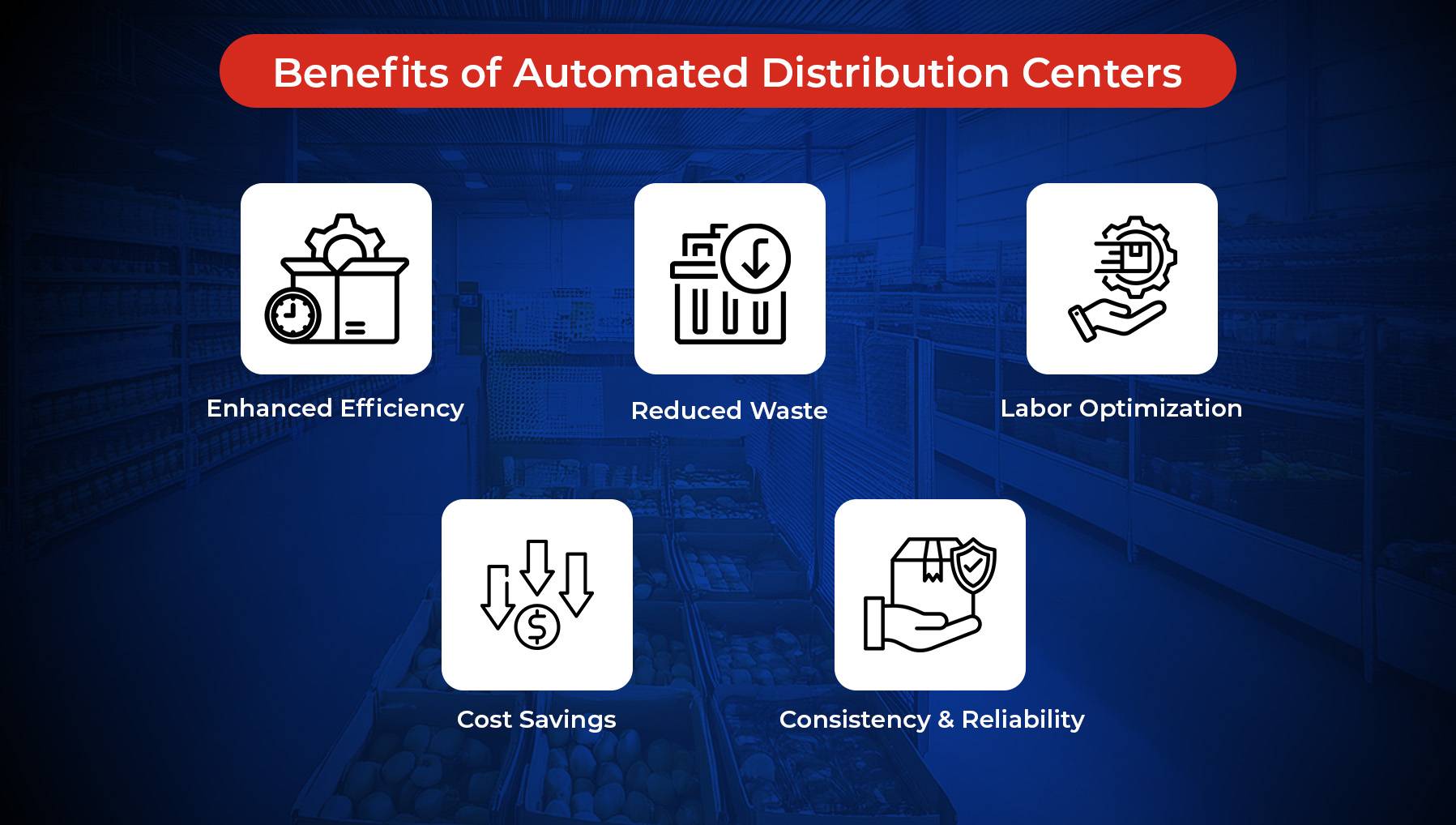 How to Automate Distribution Centers for Perishable Goods