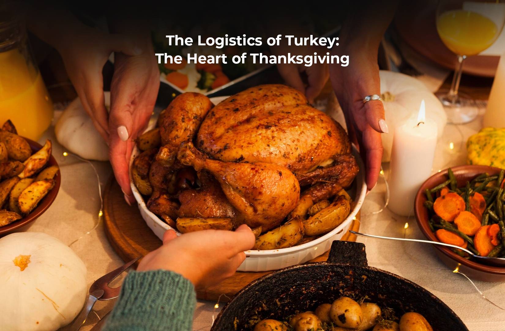 The Logistics of Turkey: The Heart of Thanksgiving